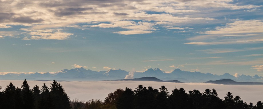 Schwarzwald im Herbst
